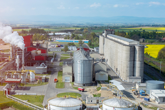 Tavené tuky pro biopaliva