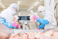 Vykupujeme drůbeží tukovou surovinu