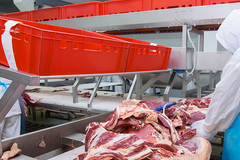 Vykupujeme hovězí lůj