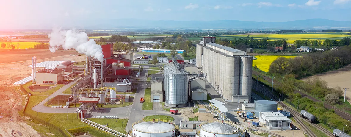 Ausgeschmolzene Fette für Biokraftstoffe