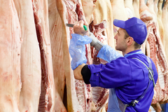 Wir kaufen rohes Schweinefett