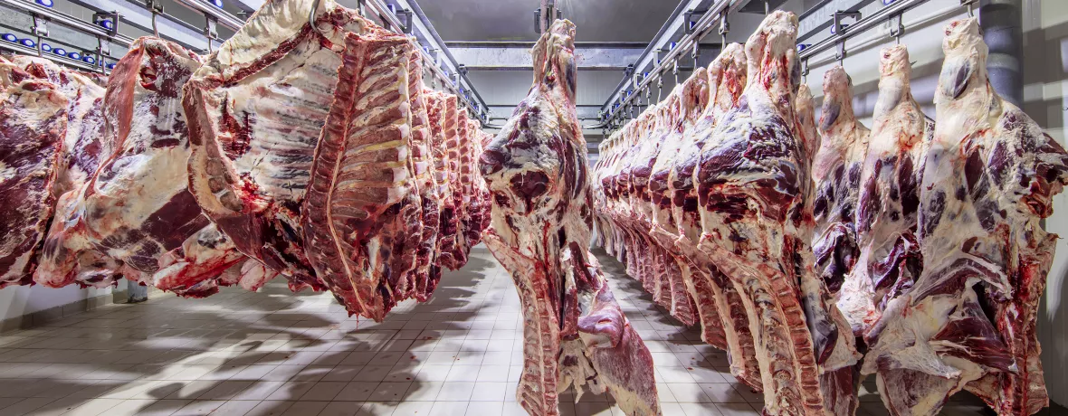Schlachthöfe, Metzgereien und fleischverarbeitende Betriebe