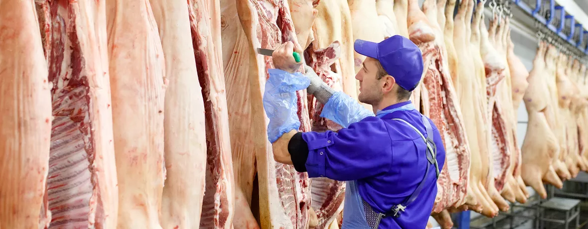Wir kaufen rohes Schweinefett