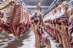 Slaughterhouses, butchers and meat processing plants