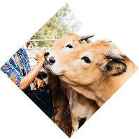 Careful selection of raw materials